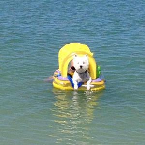 Meet your Posher, Jeanne